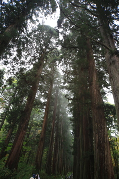 戸隠神社奥社にて01