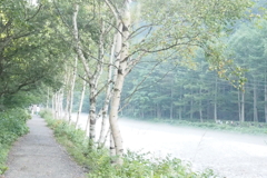 上高地にて
