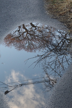 水たまりの向こう