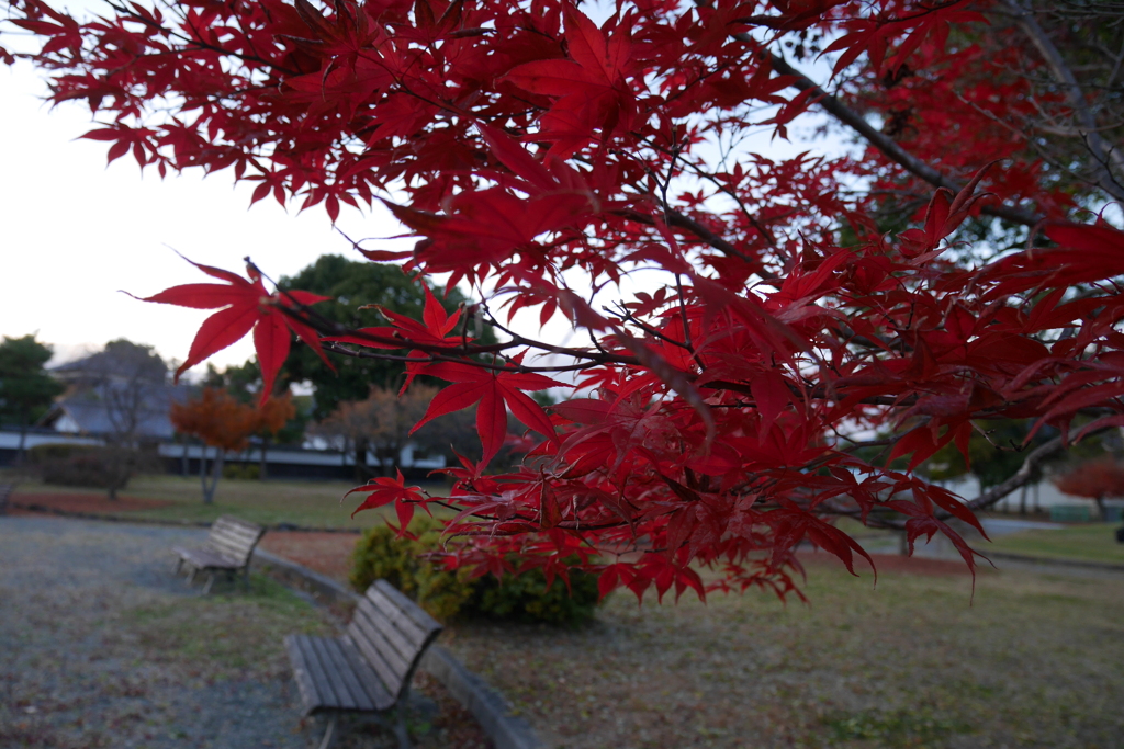 晩秋の午後03