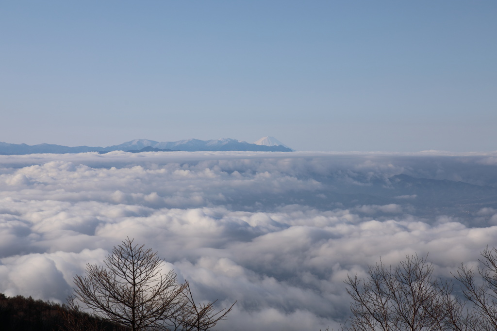 はるかに富士山を望む
