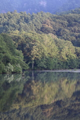 盛夏の鏡池（その６）