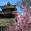 古城と枝垂れ桜