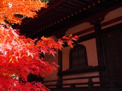 壁紅葉