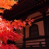 壁紅葉