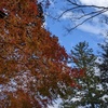 PXL_20221213_030149350