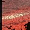 夕焼け