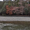 PXL_20221213_043841603.MP