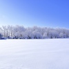 雪原と樹氷