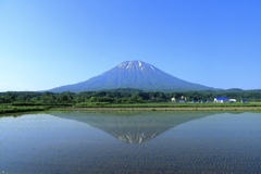 冠雪残る逆さ羊蹄