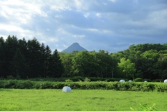 牧草ロールと黄金山