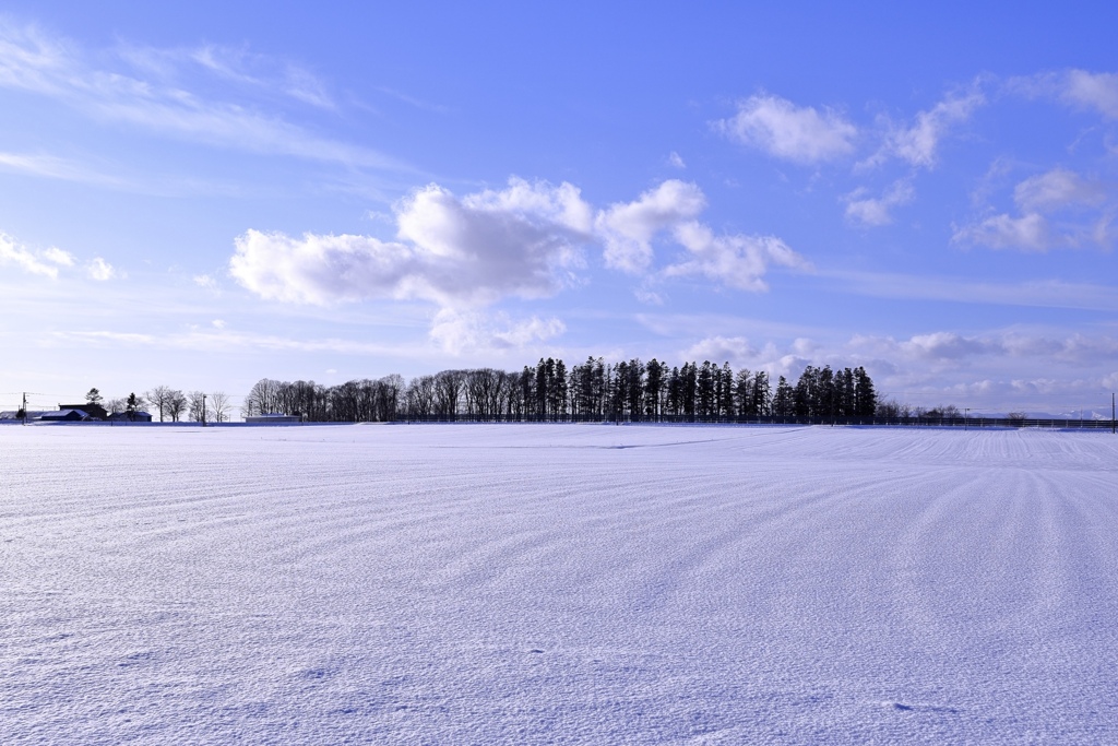 青空と雪原