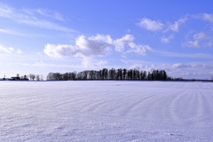 青空と雪原