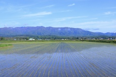 田んぼと樺戸連山