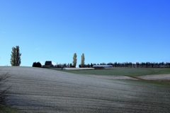 ポプラの丘の風景