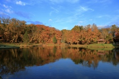 紅葉リフレ 紅葉リフレ