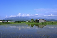 田んぼの風景