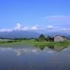 田んぼの風景