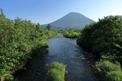 緑と川