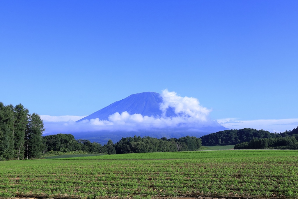 澄み渡る青空