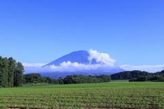 澄み渡る青空