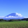 澄み渡る青空