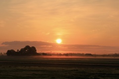 田園と朝日