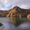 山の紅葉