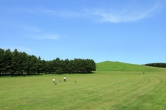 広大なフィールド