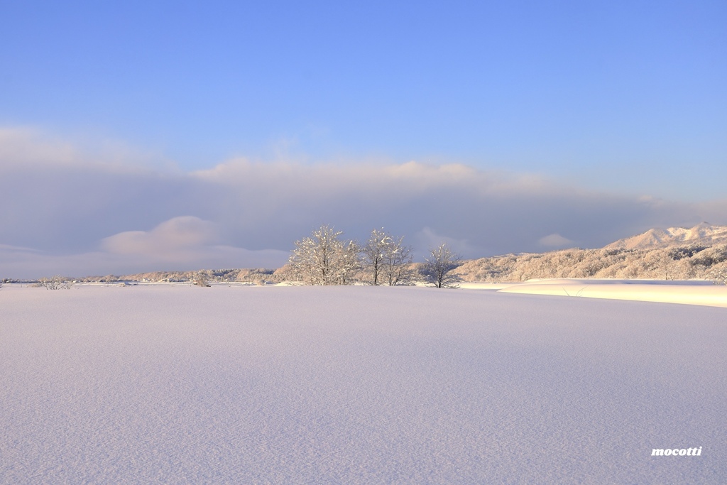 雪景色