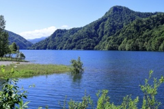 深緑の湖