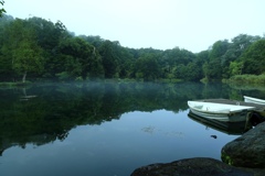 鳥沼公園