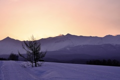 十勝岳の朝景