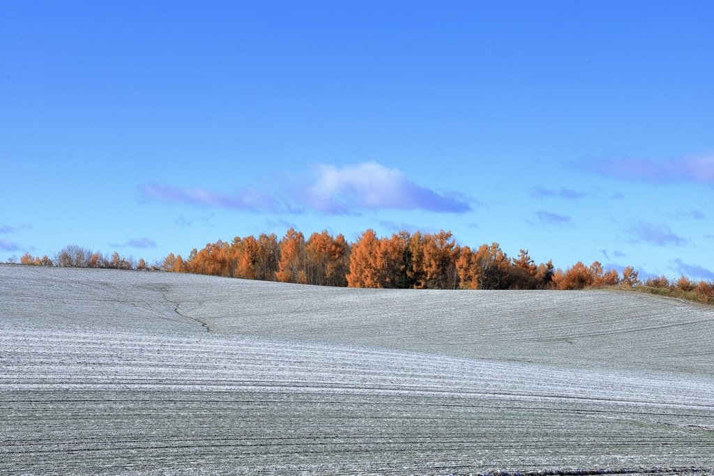薄雪の丘