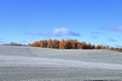 薄雪の丘
