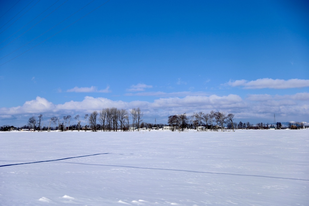 北海道はまだまだ厳しい冬