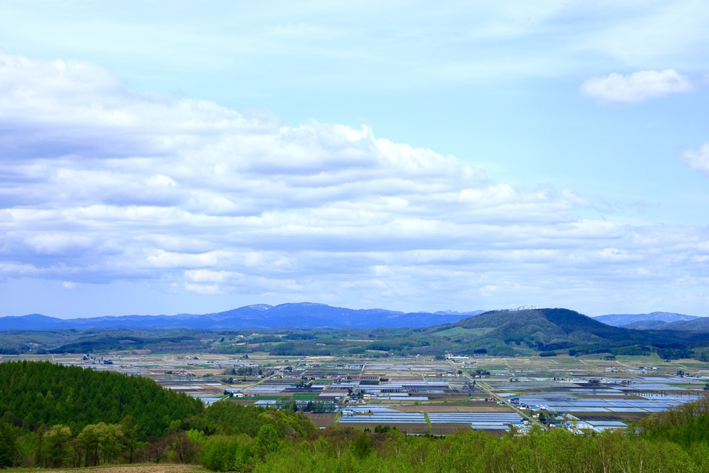 青空と田園地帯