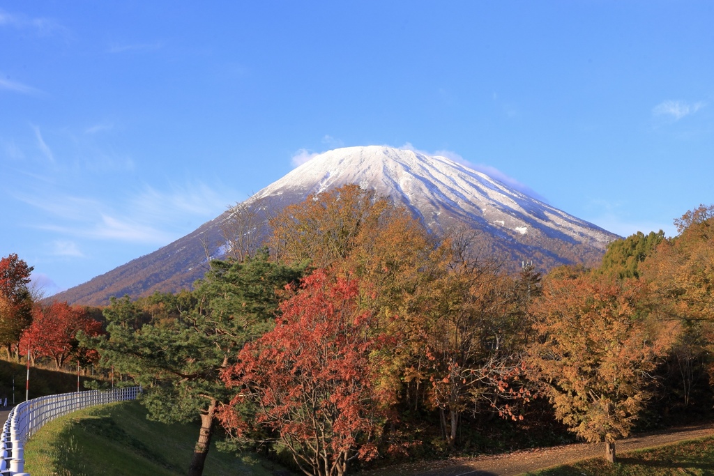 羊蹄山麓の紅葉