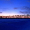 日の出前の雪原
