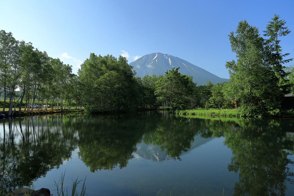 初夏の羊蹄姿見池