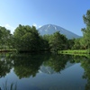 初夏の羊蹄姿見池
