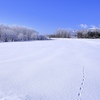 冬の小さな足跡