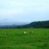 牧場の風景