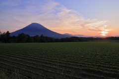羊蹄山と夕日