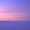 雪原の朝