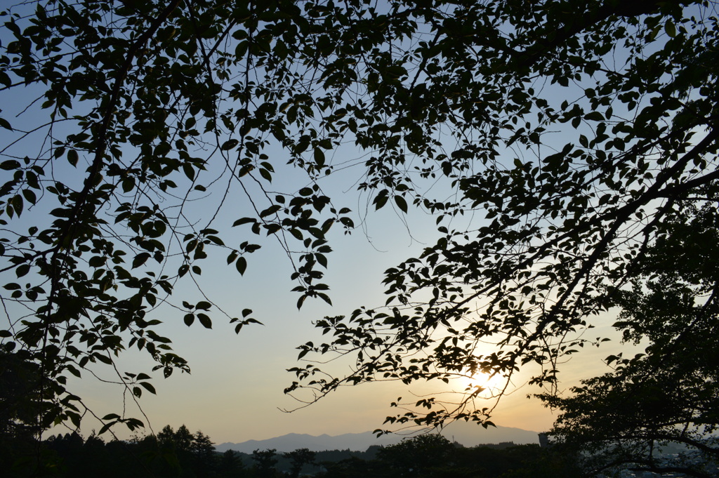 朝日