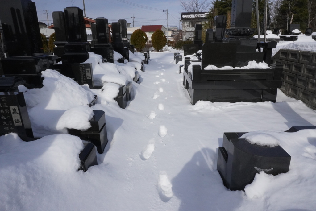 お墓参りの足跡