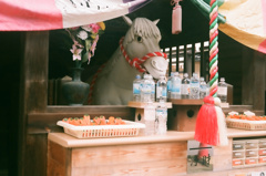 白馬に人参