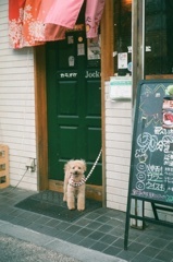 店番