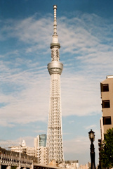 塔